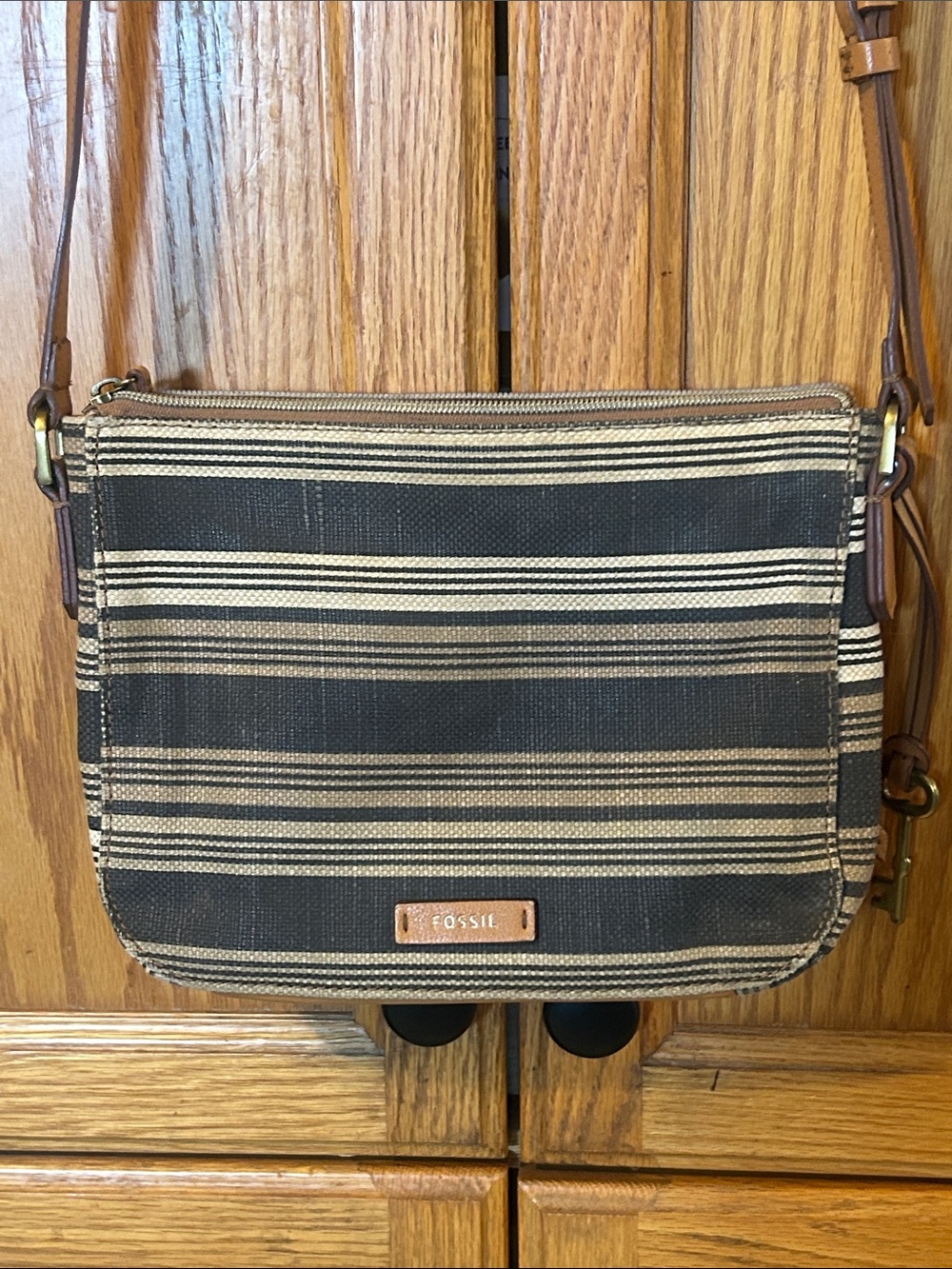 Fossil Striped Canvas Crossbody in Brown and Cream